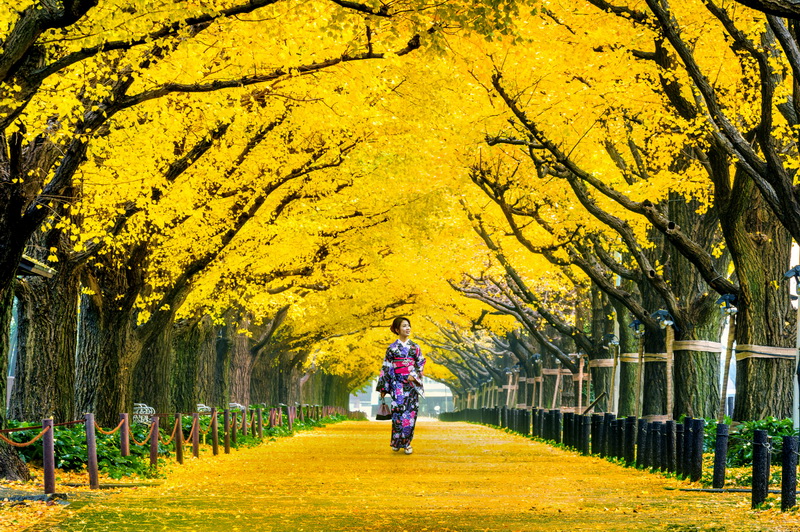 TOYAKO – SAPPORO                                                                    (Ăn ba bữa)
